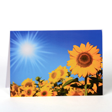 Personalized Photography Greeting Cards
