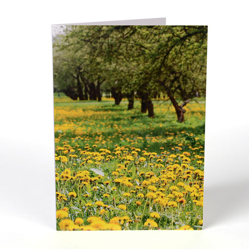 Personalized Portrait Photography Greeting Cards