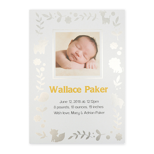 Foil Silver Animal Kingdom Personalized Photo Birth Announcement Cards