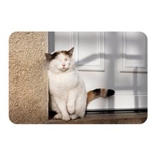 Set of 8 Personalizd Lenticular 4